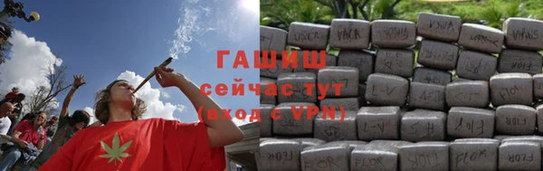 гидра Алексеевка