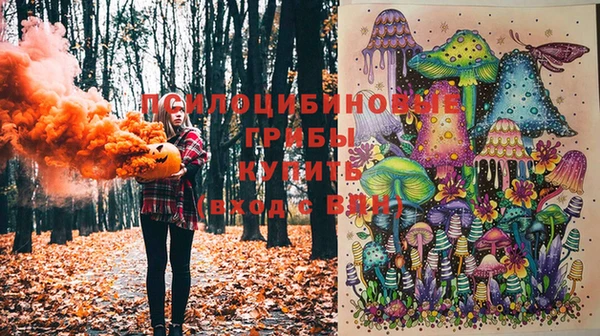 гидра Алексеевка