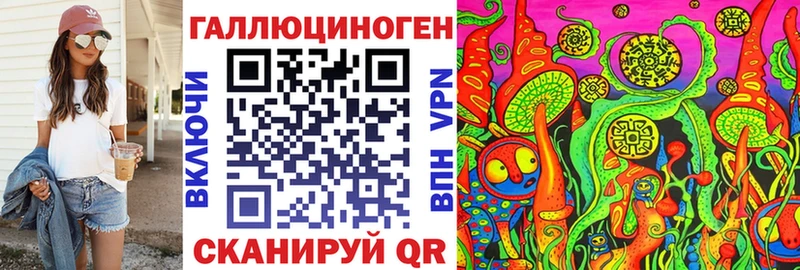 Псилоцибиновые грибы Psilocybine cubensis  Ачхой-Мартан 